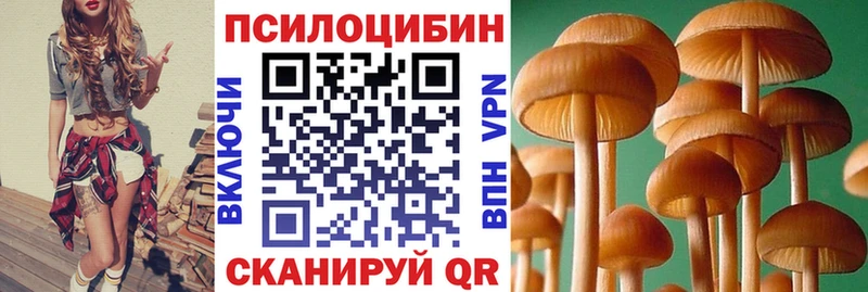 площадка как зайти  Бодайбо  Галлюциногенные грибы Magic Shrooms 